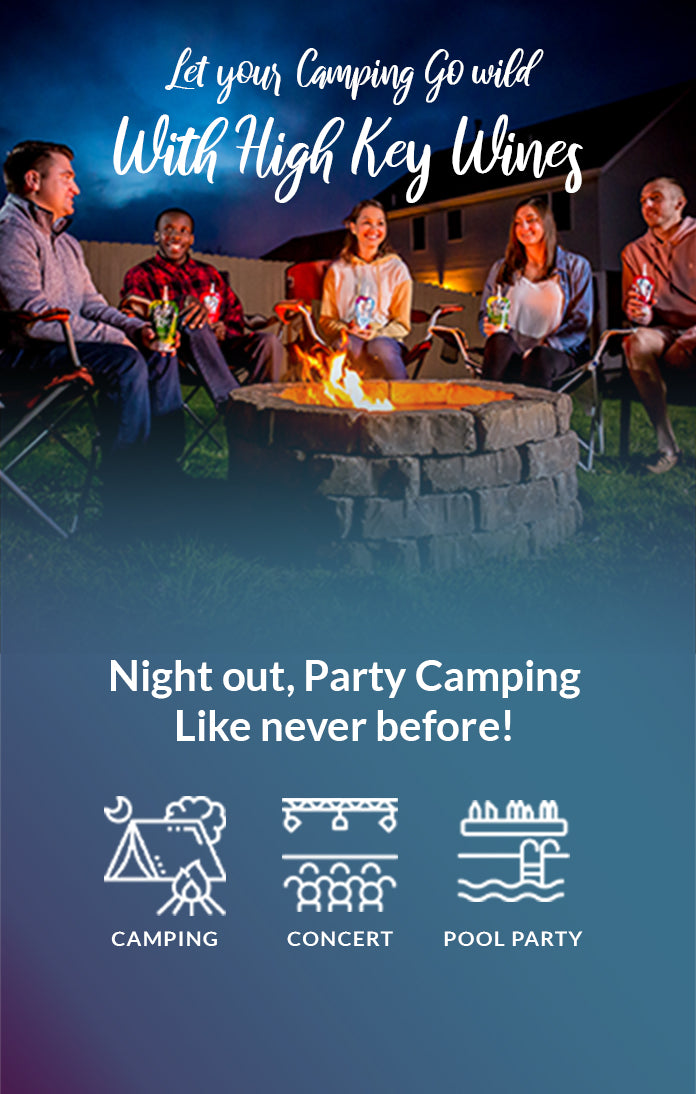 Bluey Party: Let's Go Camping!